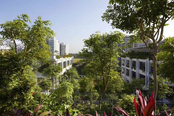 Oasis Terraces is defined by its lush greenery