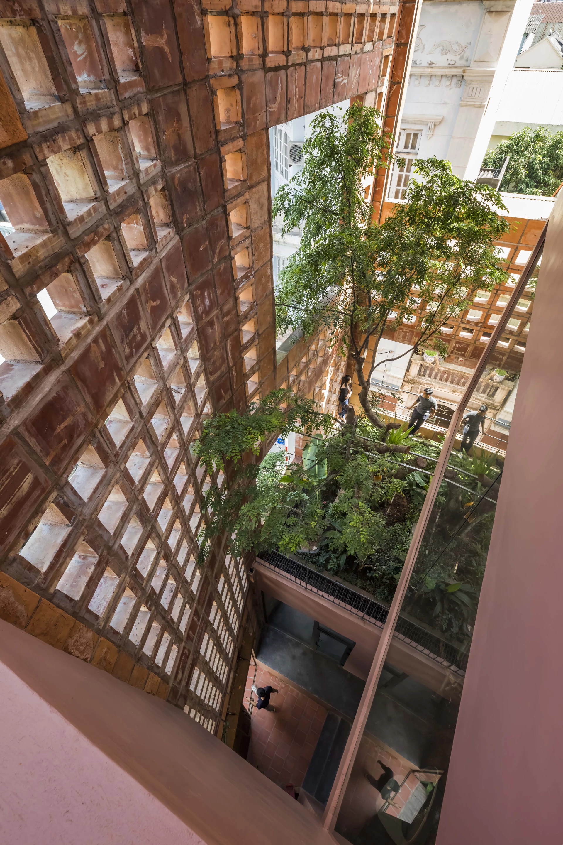 Bat Trang House features extensive greenery, which helps shade the interior