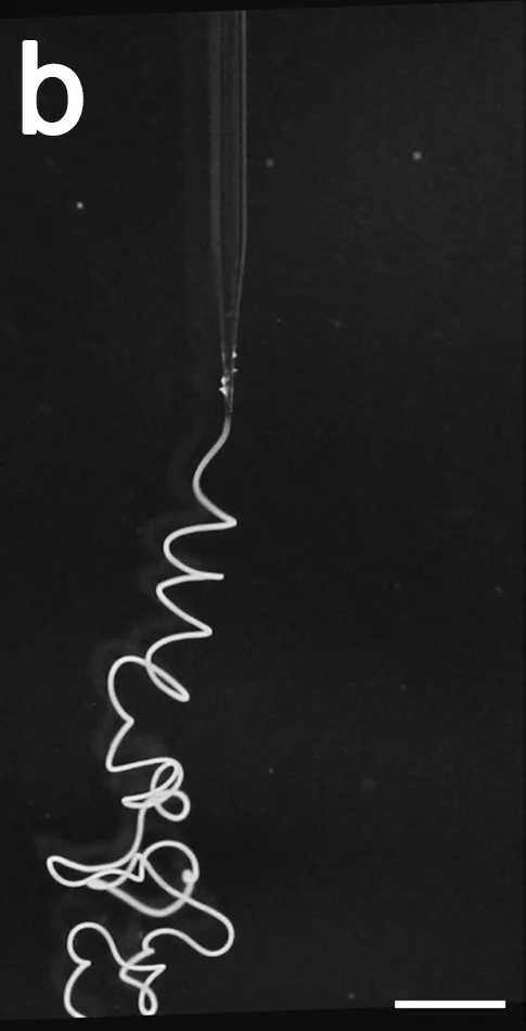 Picture of a fiber as it is spun in the low pH aqueous collection bath
