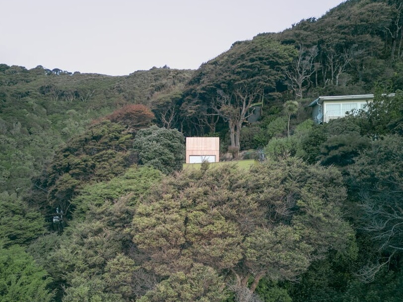 Karaka Tower boasts an interior ambiance reminiscent of a treehouse, with exposed macrocarpa timber framing