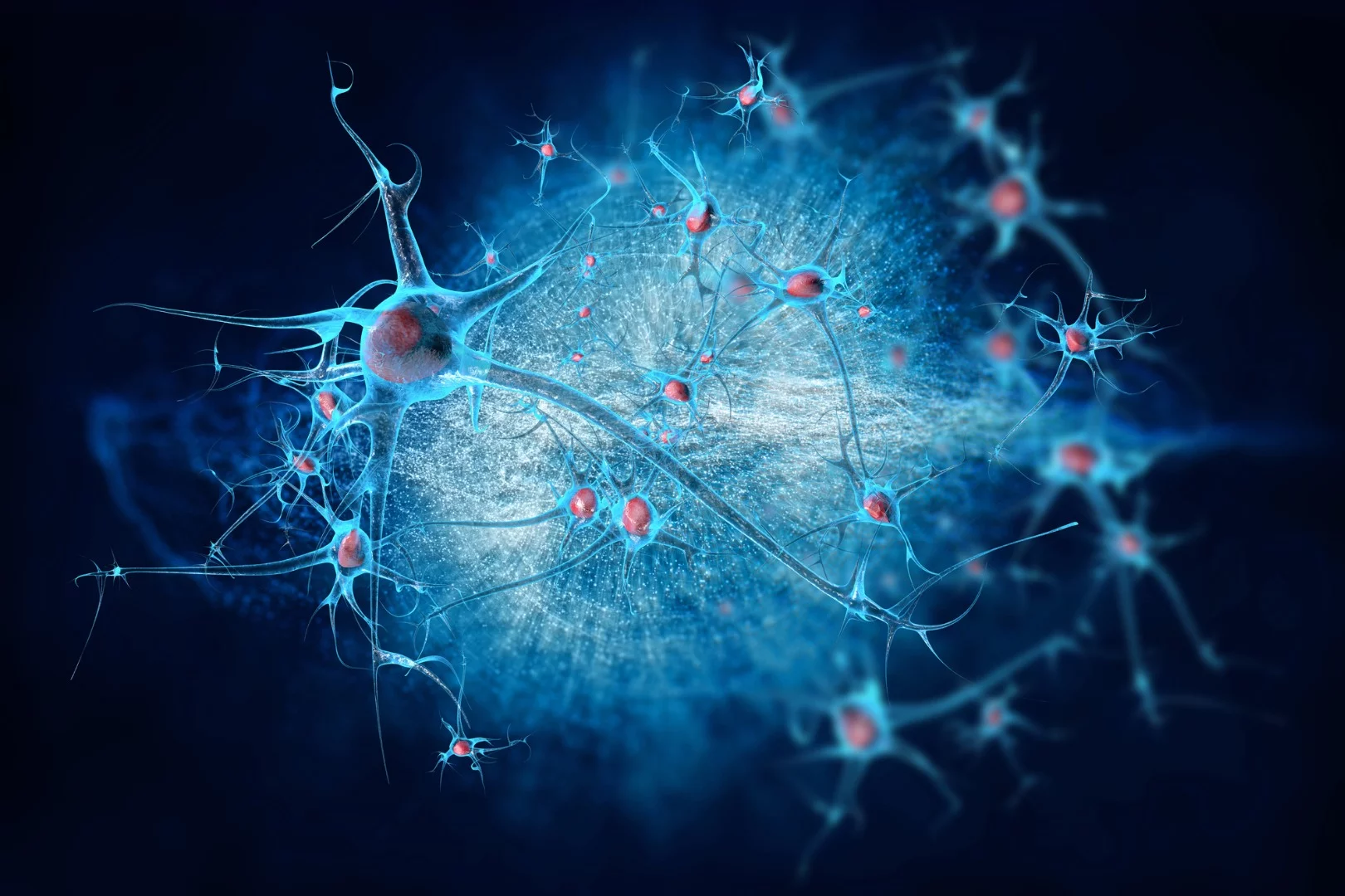 Evidence suggests age-related cognitive decline is not caused by brain cells dying but rather a simple reduction in plasticity, which could be reversed