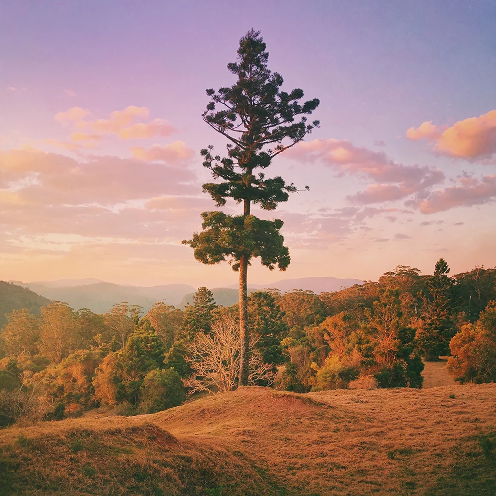 Honorable mention in the Landscapes category. Solitaire