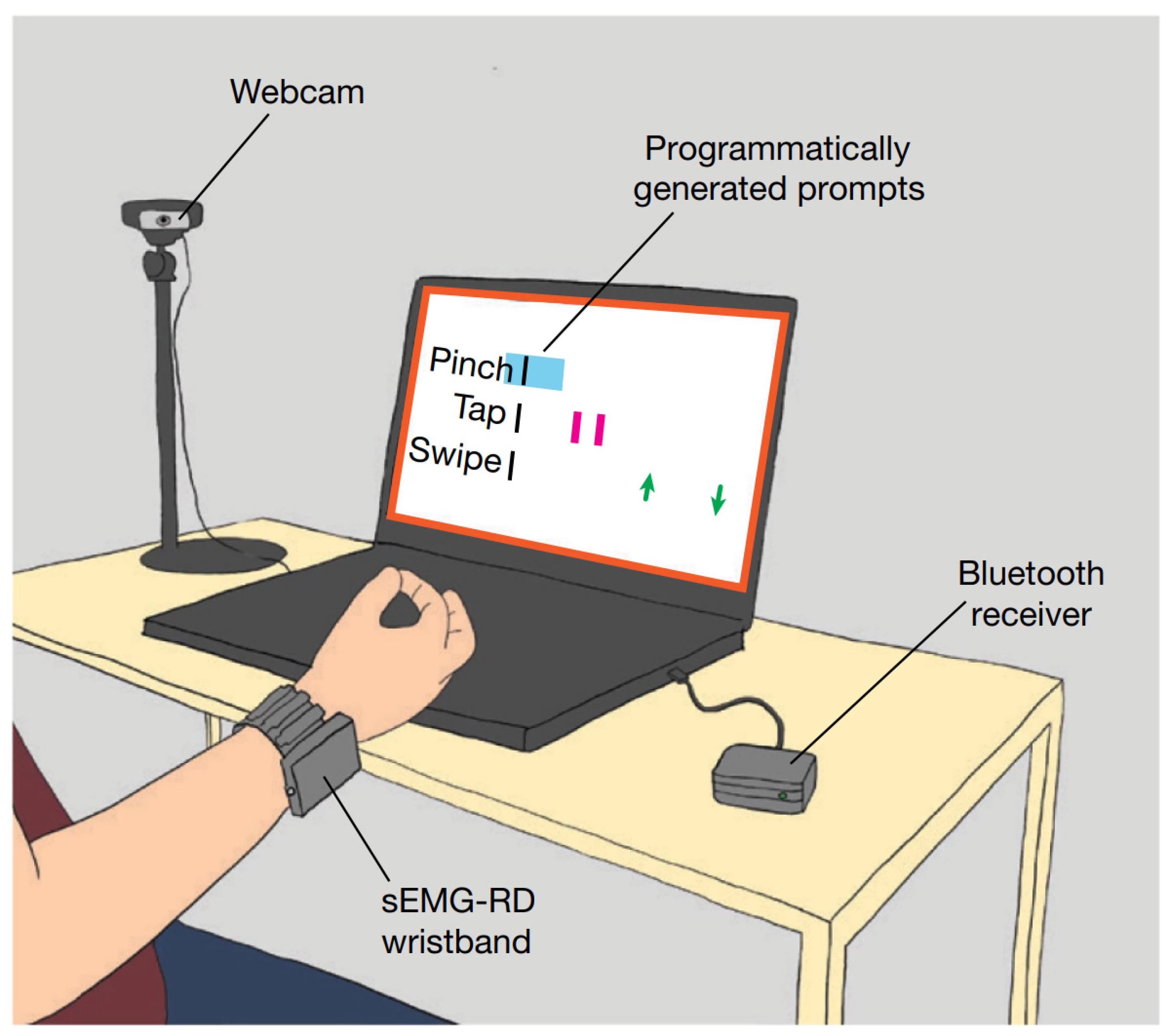 Meta's wristband translates gestures into digital commands