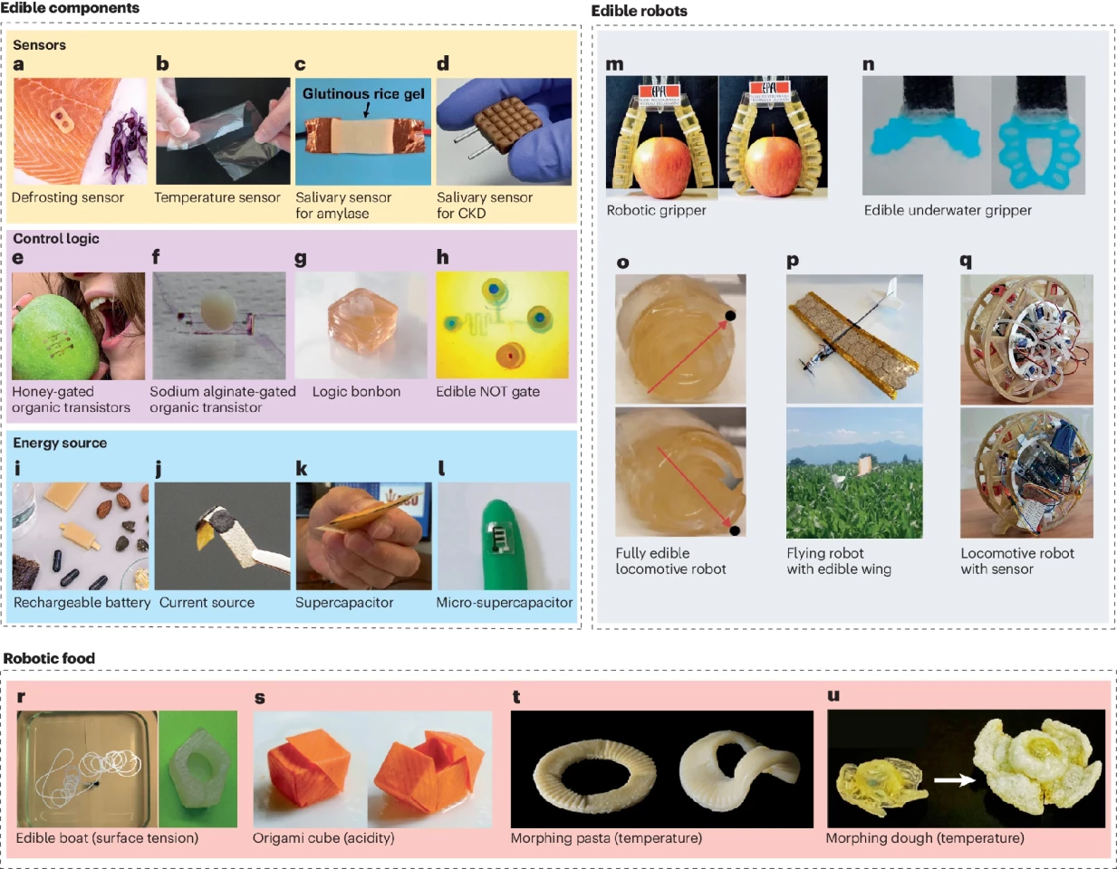 Examples of edible components, edible robots and robotic food. For the robotic food, the input stimuli are indicated in brackets