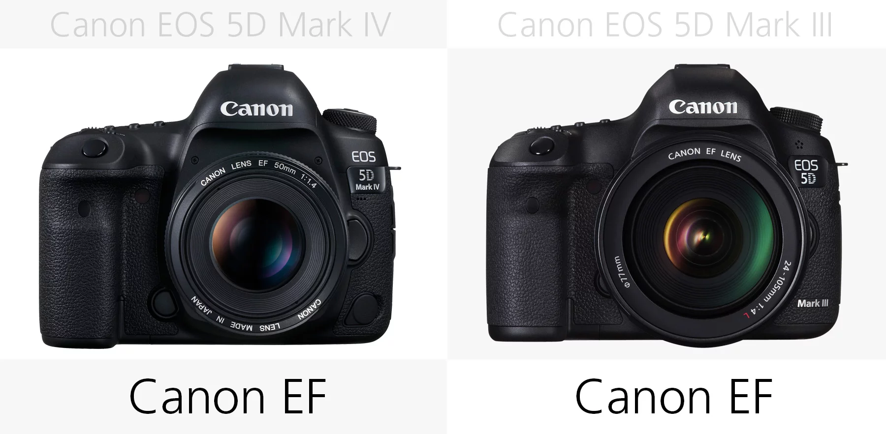 Lens mount (Canon EOS 5D Mark IV and 5D Mark III)