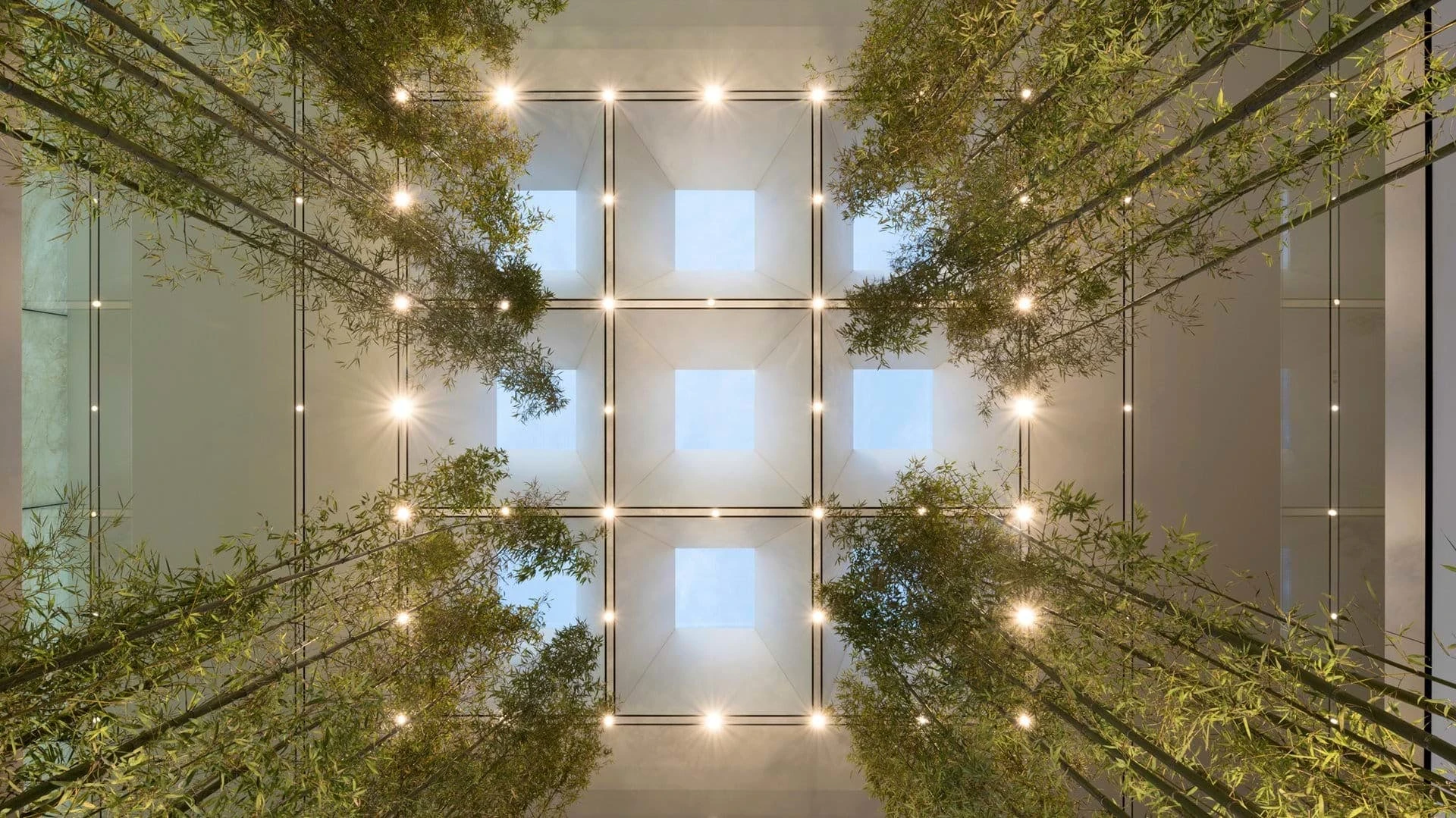 Apple Cotai Central in China features a bamboo installation in its central atrium