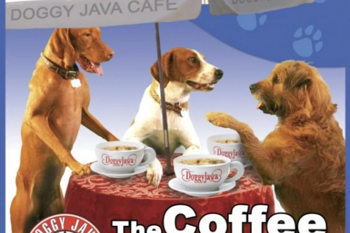 Doggy Java caffeine free, beef flavored “coffee” for dogs