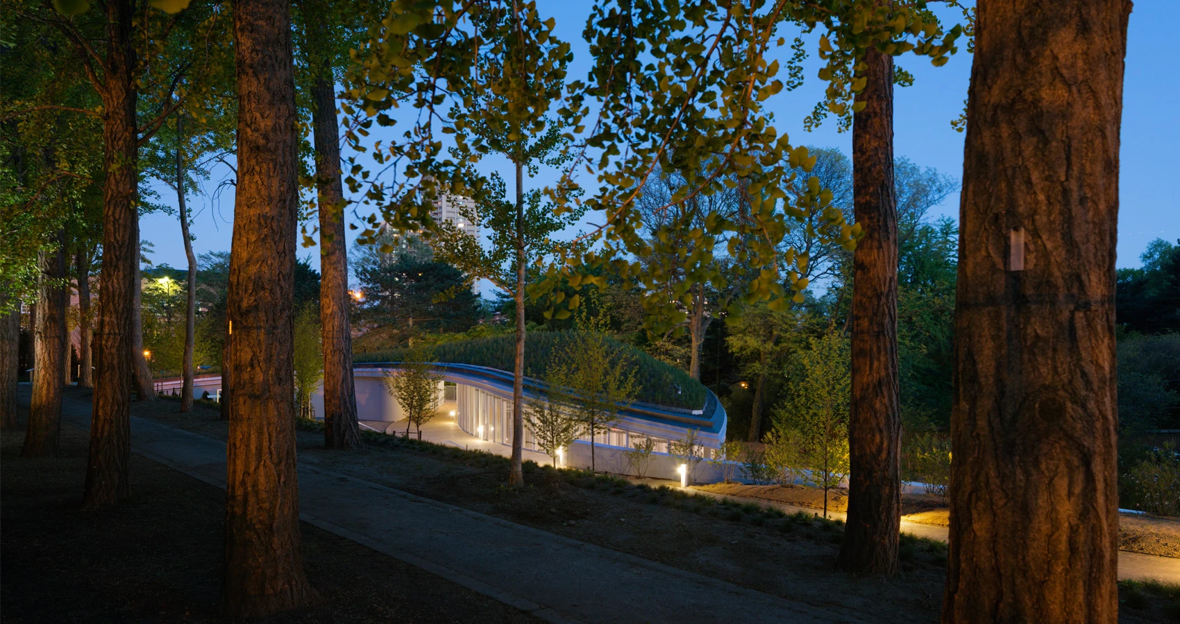 The new visitor center at the Brooklyn Botanic Gardens blends into its surrounding environment