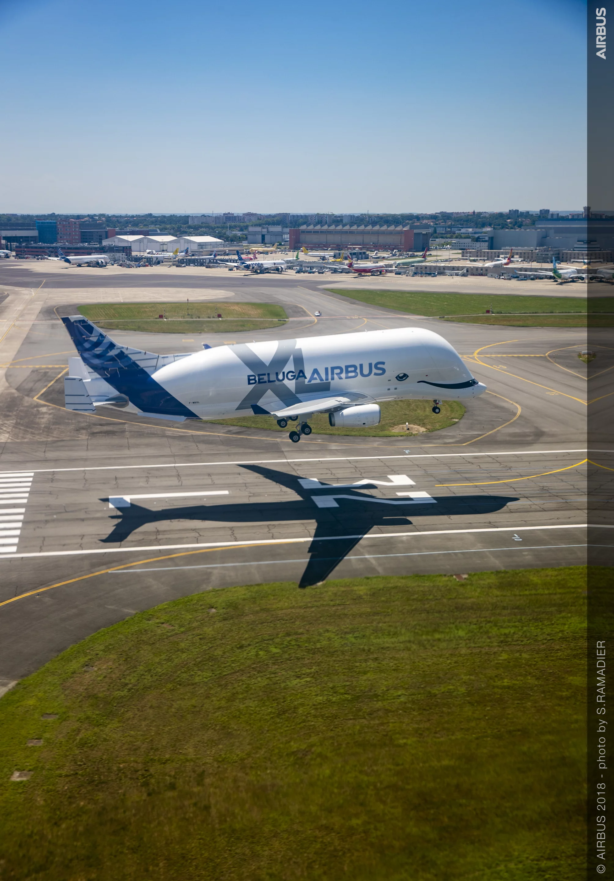 The BelugaXL showing its distinct profile