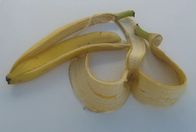 Research published in the journal of the American Chemical Society claims that mashed up peel can remove heavy metals from river water