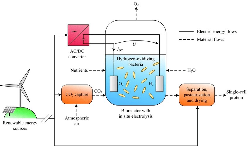 This diagram shows how the team's bioreactor works