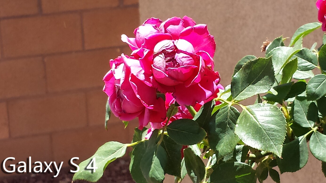 Crop of outdoor shot taken with the GS4