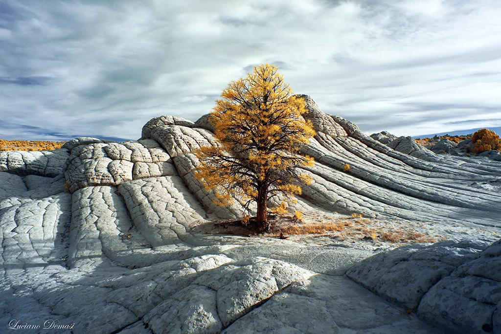 Overall Grand Prize winner, as part of the Photo Essay category, a collection called Utah