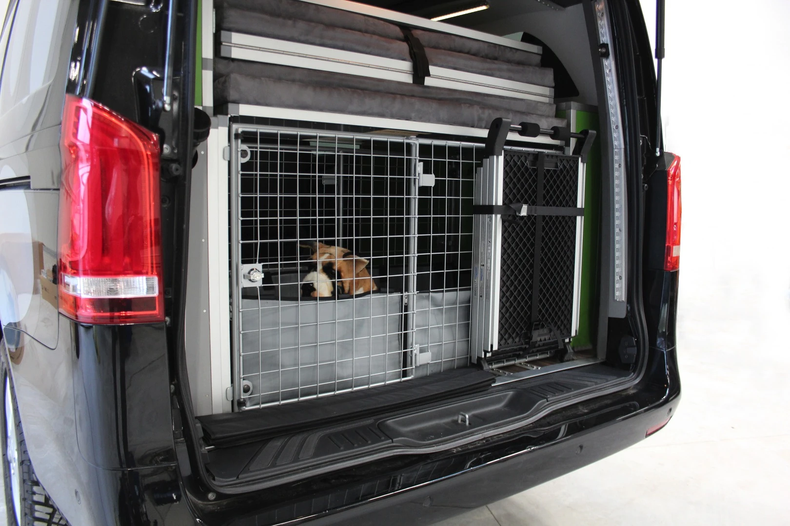 The family dog packed up and ready for the ride in the Dogscamper