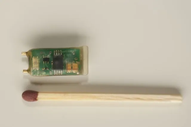 The geolocator weighs only 1.4 grams and is light enough for the bird to carry it on a small ring around its leg