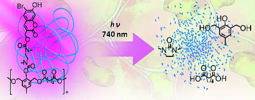 The "smart" material breaks down into non-toxic particles in response to NIR light (Image: American Chemical Society)