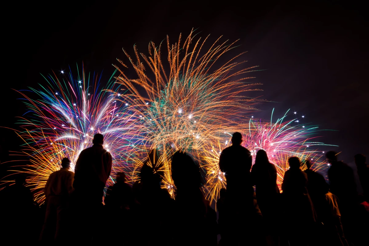 A new study has found pollution from fireworks may damage the health of humans and animals