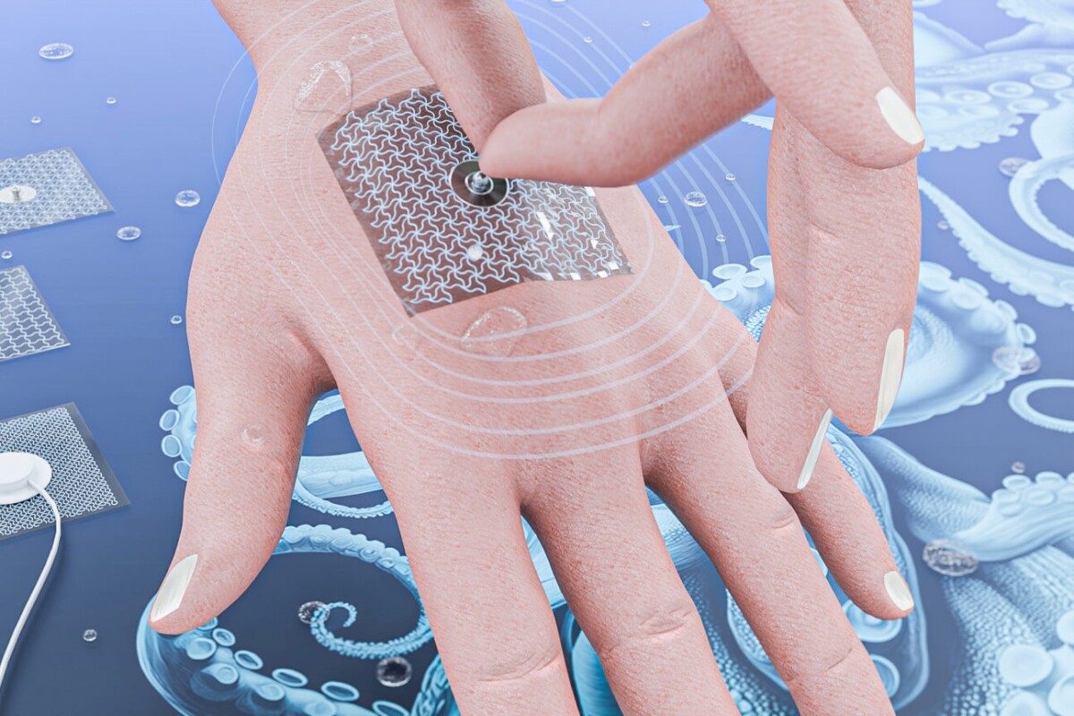 Sensors like electrocardiogram (EEG) electrodes can be lifesaving, but the adhesive patches used to attach them can sometimes damage the skin. A new experimental medical patch tackles this problem by using octopus-inspired suckers.