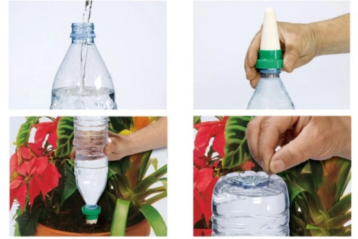 Aquasolo watering system