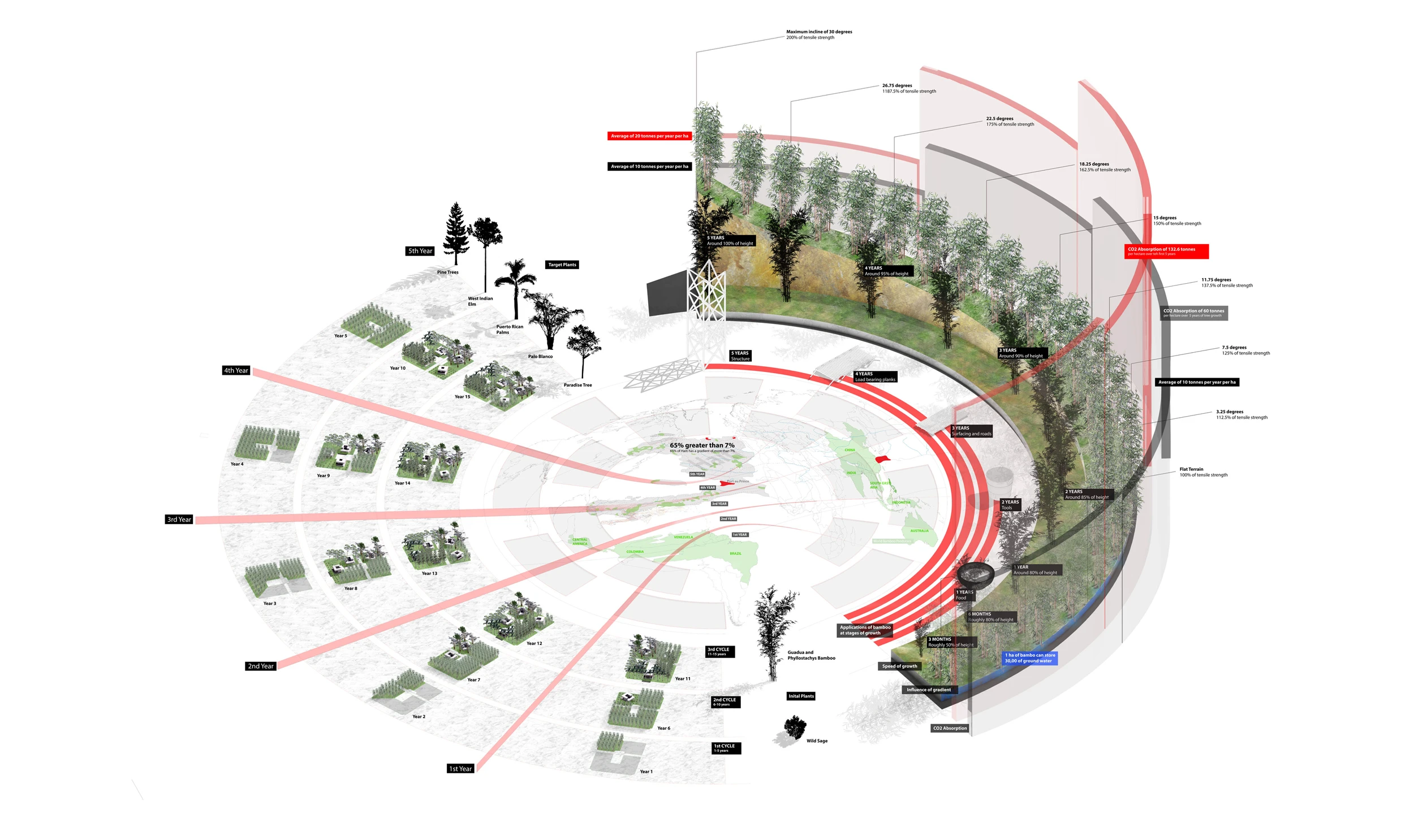The Bamboo Lakou proposal envisions a new, sustainable future for Haiti (Image: John Naylor)
