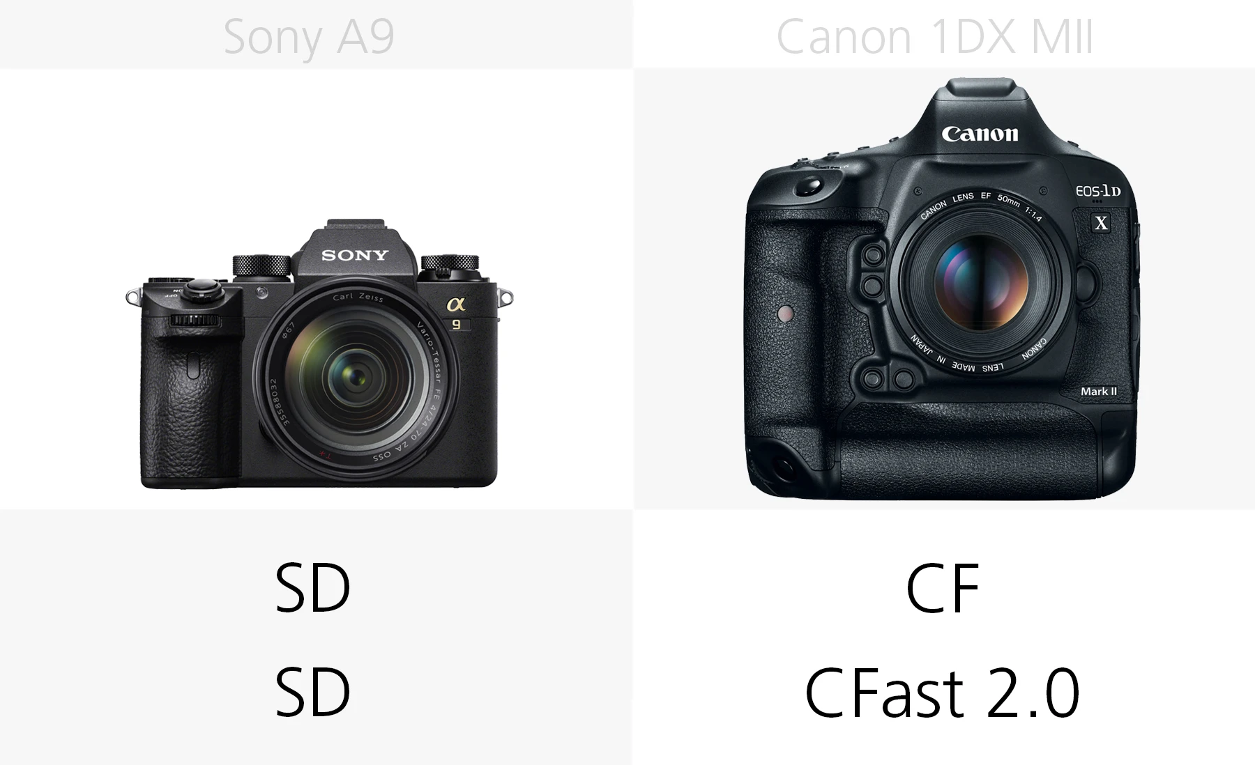 Comparing the storage media of the Sony A9 and Canon 1DX Mark II