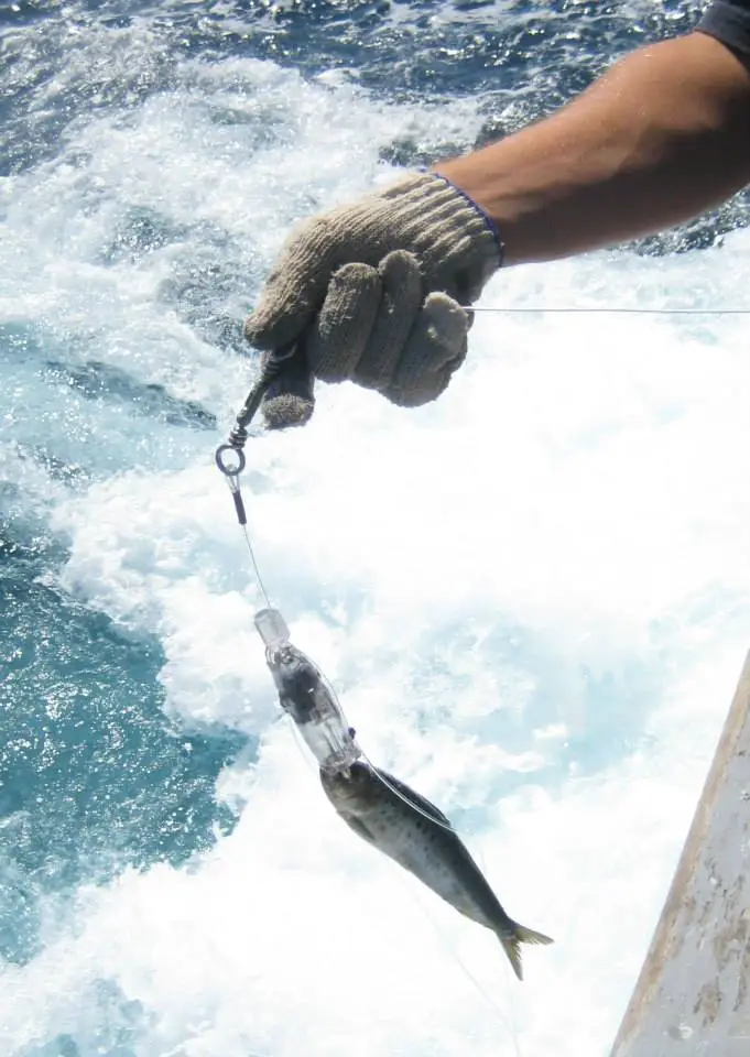 The Hookpod automatically releases the hook at a depth of at least 10 meters