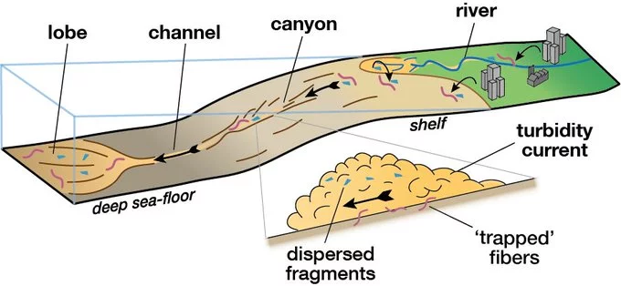 A diagram illustrating the flow of sediment and microplastic waste through the ocean
