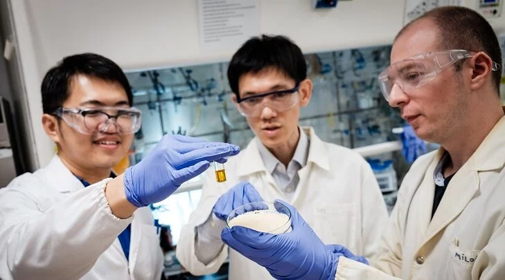Scientists at Singapore’s Nanyang Technological University have developed a new technique to turn plastic waste into formic acid