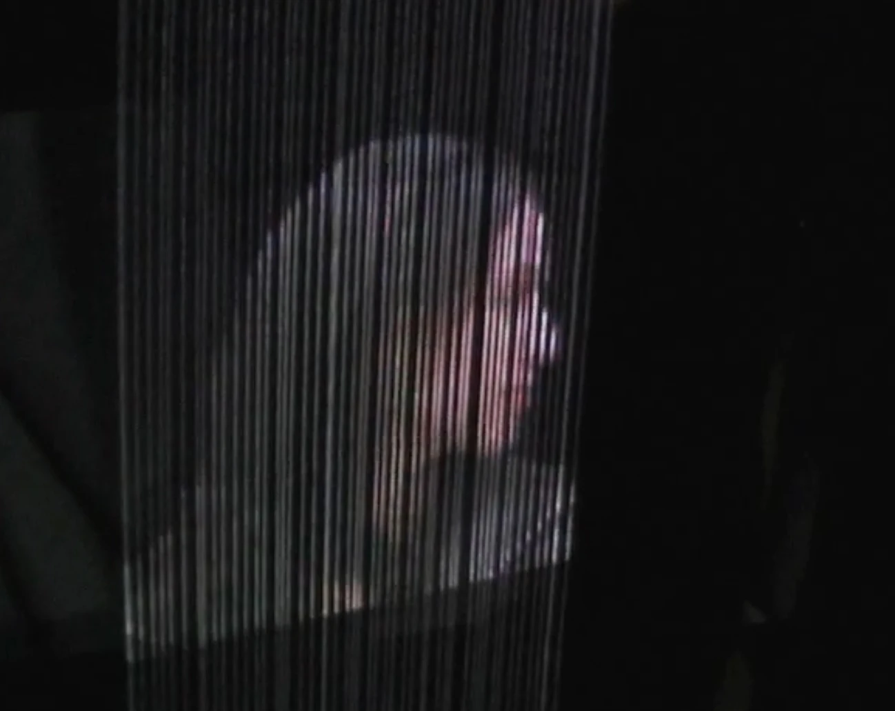 A video image displayed on the AquaLux 3D