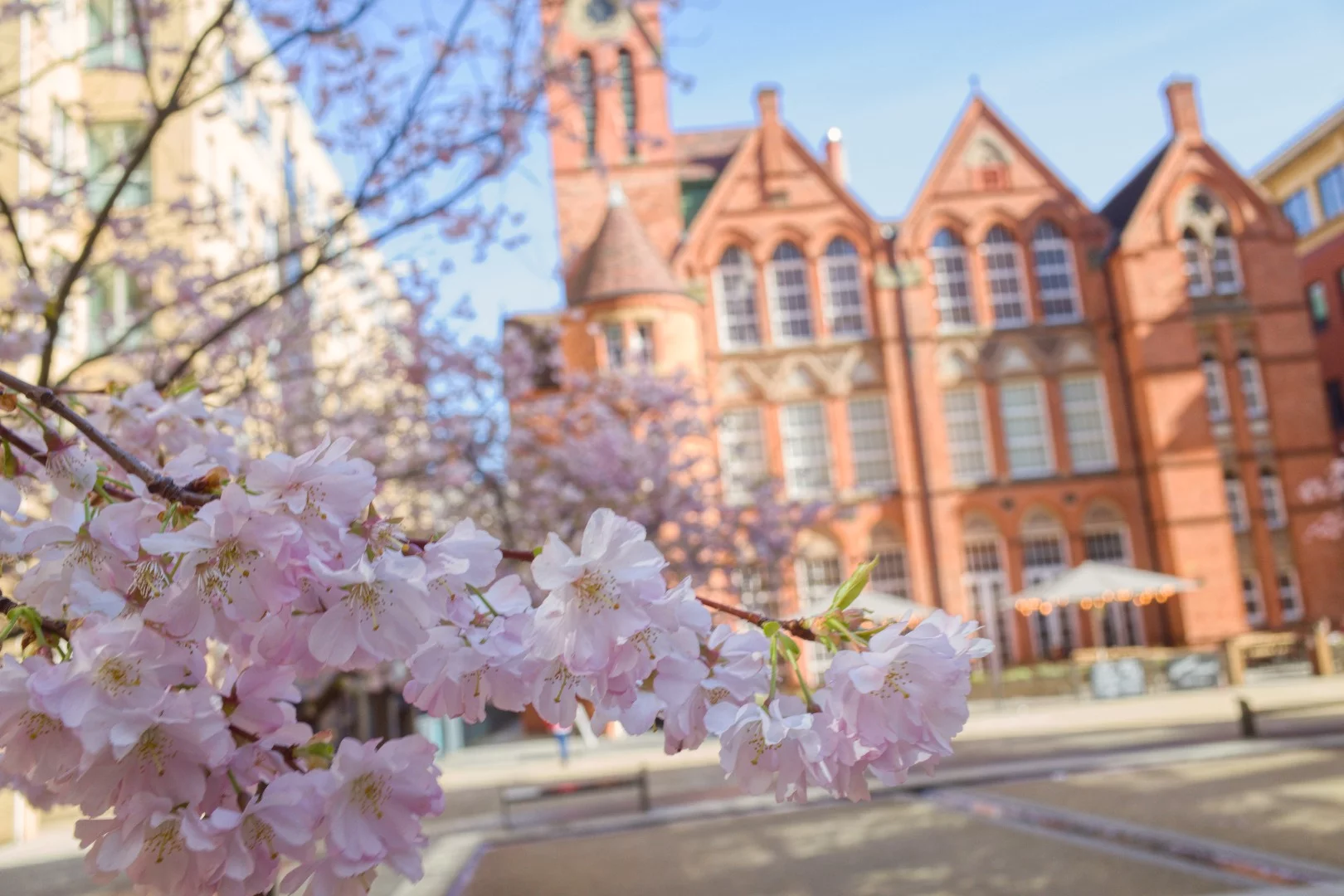 Evaluative metering is often the default mode on cameras, and can be good for everyday and landscape shooting