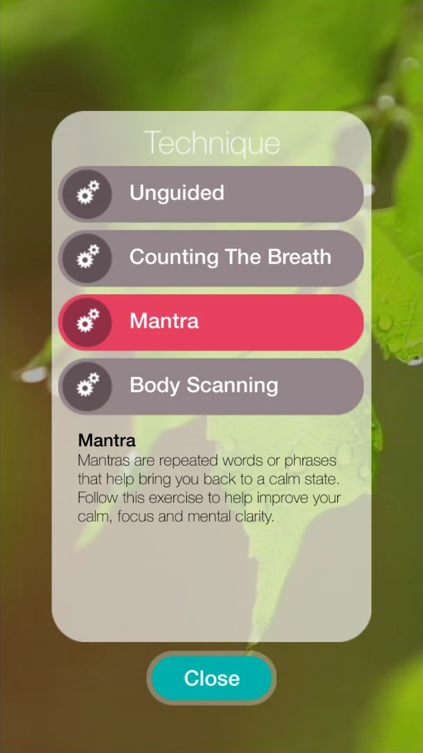 A list of the techniques available for the Clarity app