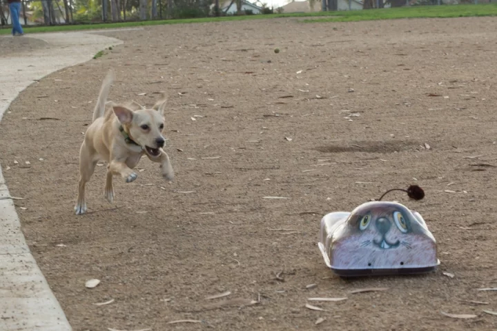 Go-Go Dog Pals are said to be rugged and durable enough to withstand what your dog throws at them