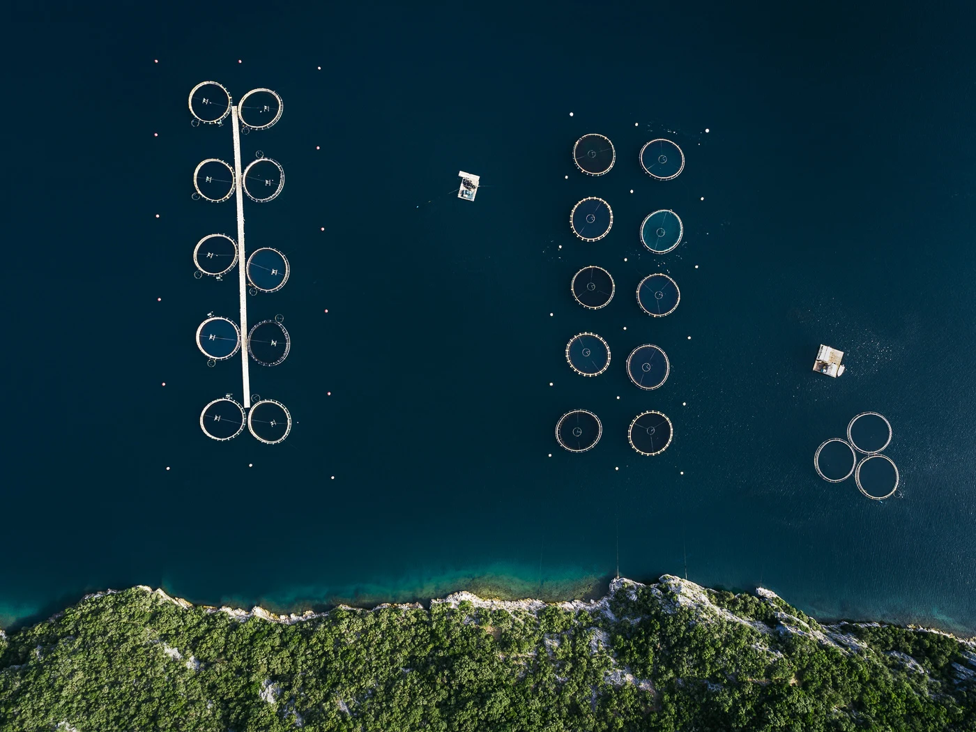 The Aquaculture Series: A look at fish farming in Croatia