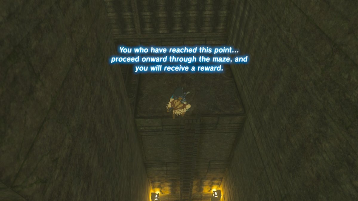 This won't pop up until you properly 'enter' the arena - but now, we've almost finished it already.