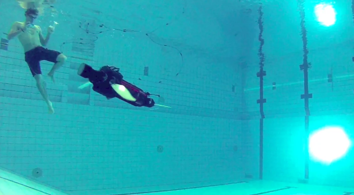 A robot sea turtle built to explore fin-based propulsion takes its first dip in the pool