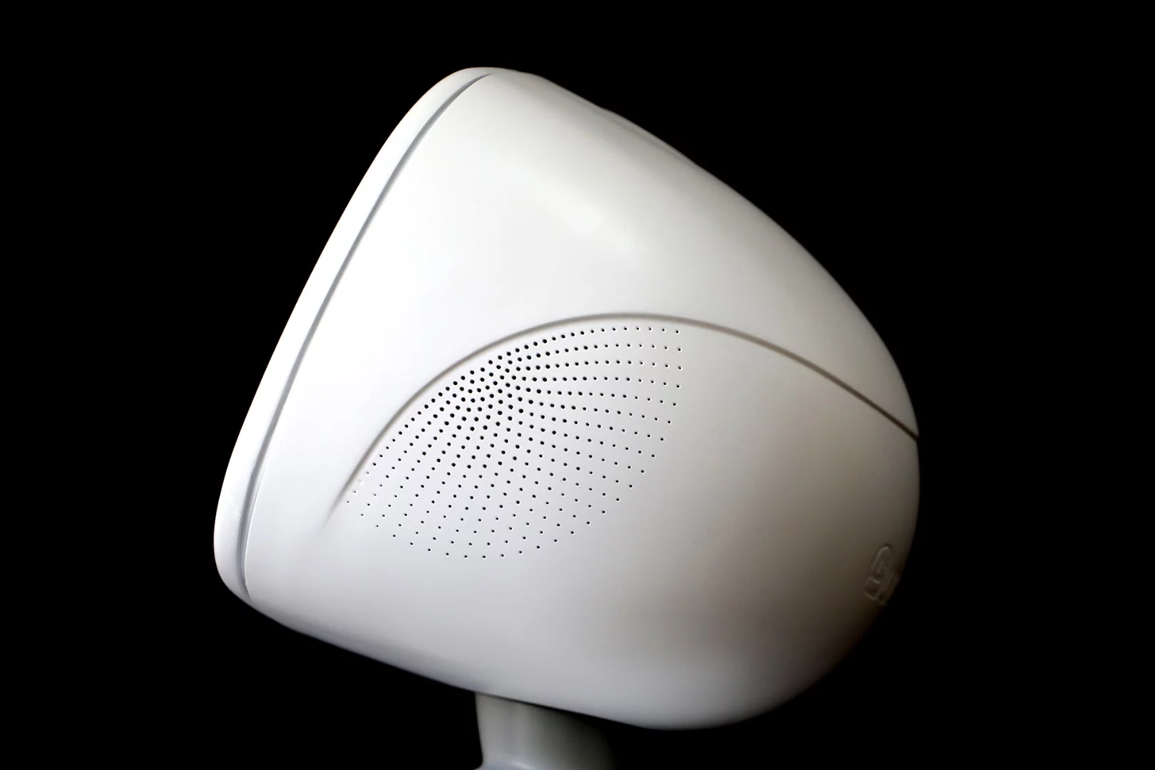 A side-view of Buddy's head