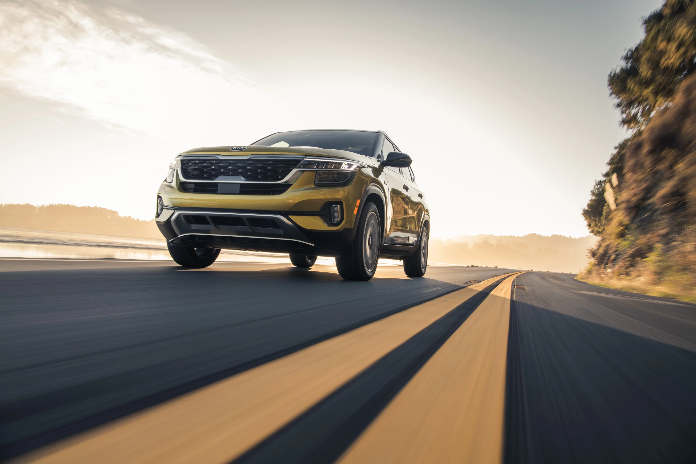 Kia will launch the Seltos in the first quarter of 2020
