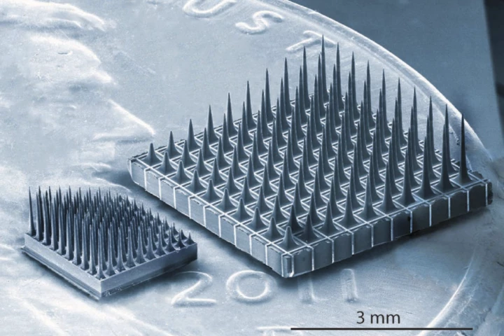 Two examples of the Utah Slant Electrode Array that could help restore movement to those suffering limb paralysis as a result of spinal cord injury