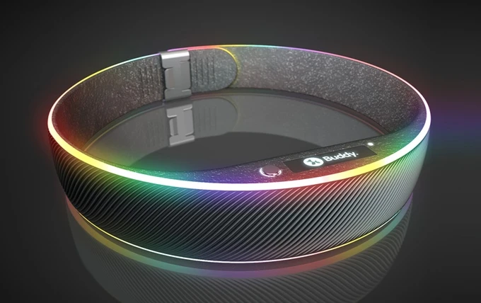 Buddy tracks your dog's movement during the day