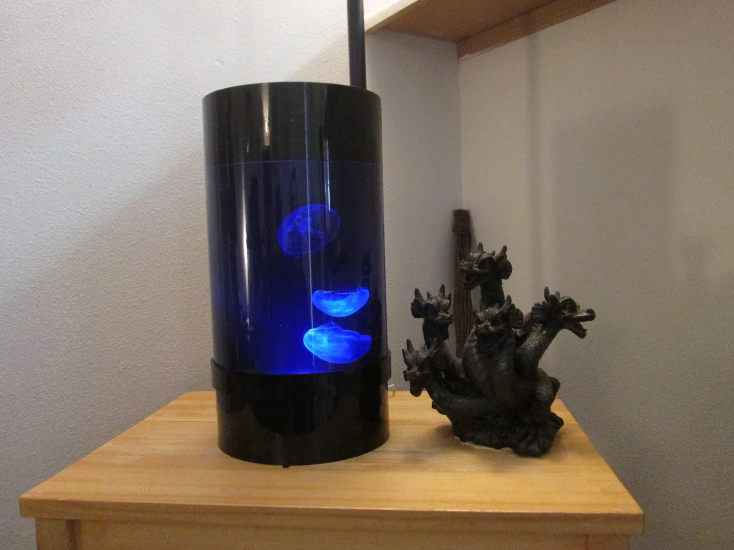 The Jellyfish Cylinder Nano is designed for the jellyfish-keeping novice