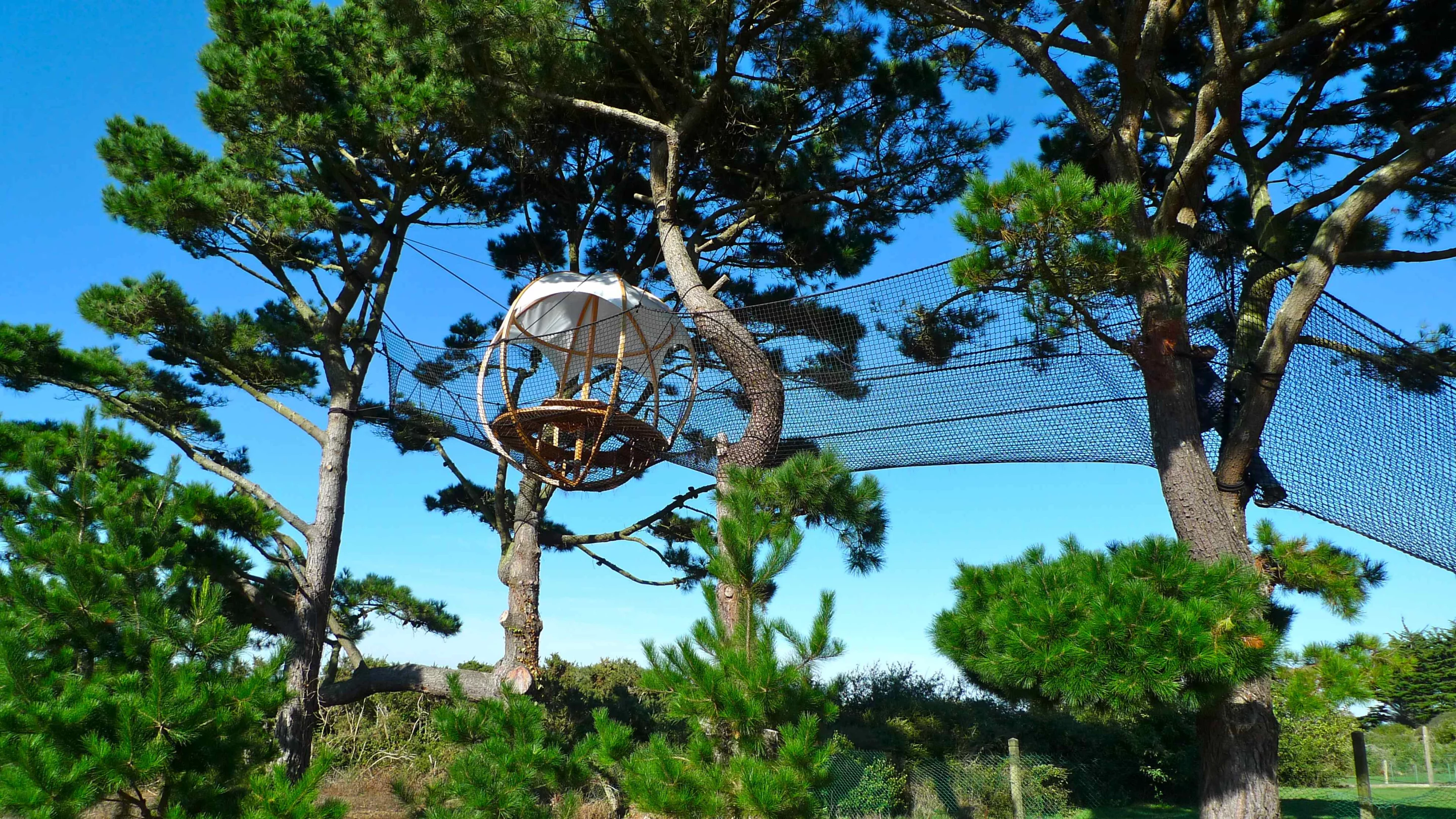 Accessing the Cocoon Tree via the netting
