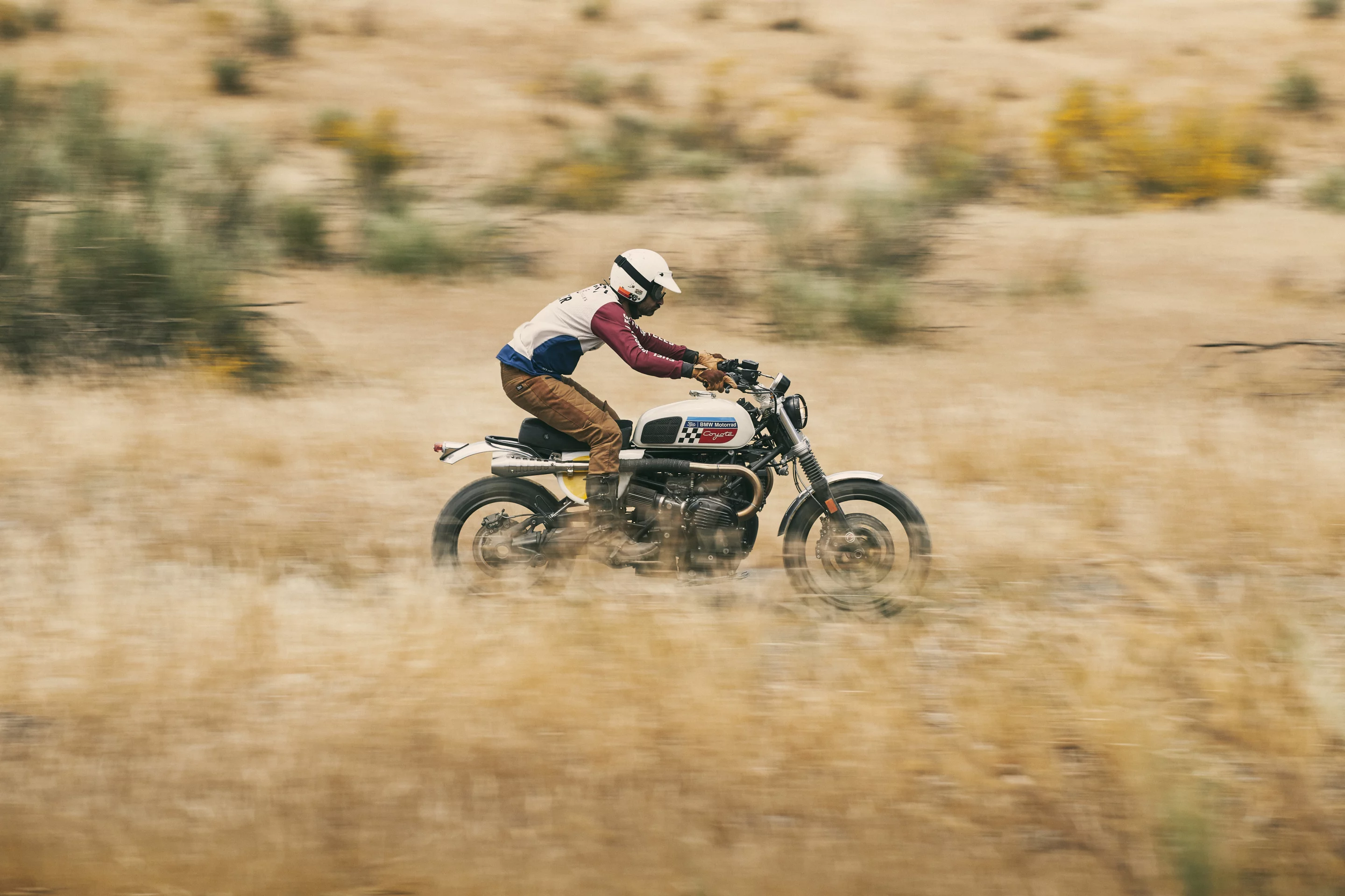 Coyote: off-roading is very much on the menu