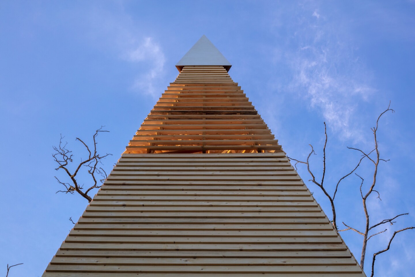 Project Treehouse was designed by frundgallina, which is led by Pascal Deschenaux, Aziz Temel, and Francesco Borghini