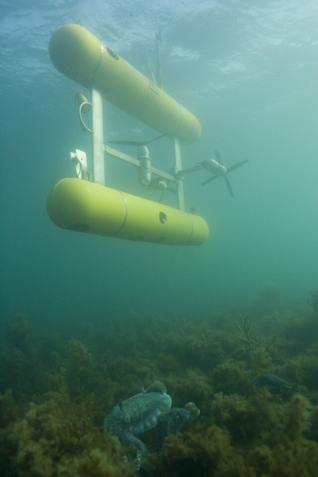 The AUV underwater. Photo credit: Australian Centre for Field Robotics, University of Sydney