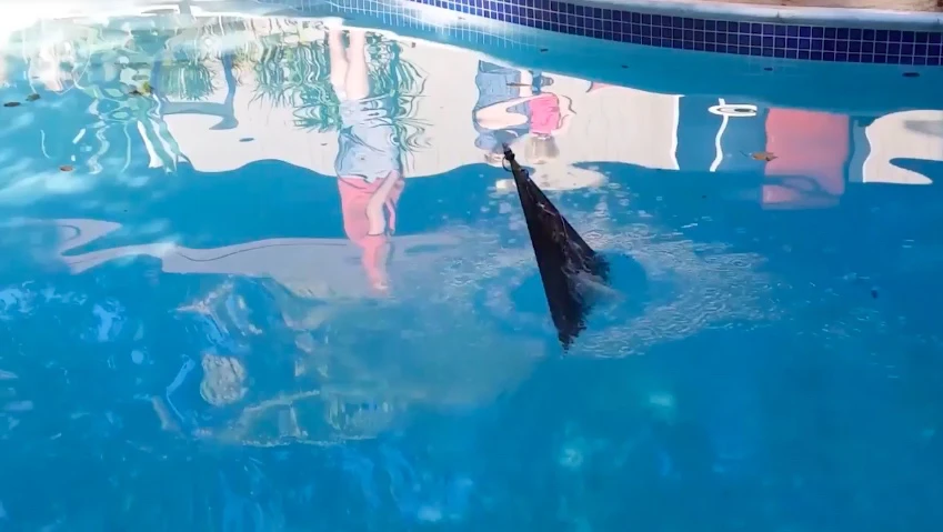 The Flying Fish, transitioning from underwater to aerial flight