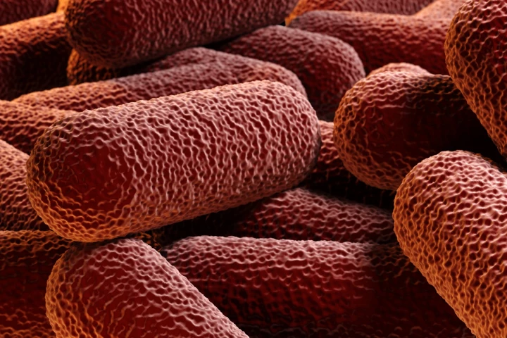 Researchers have found a new way to weaken bacterial defenses against antibiotics