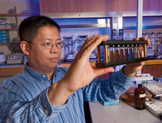 Younan Xia with vials of the gold nanocages developed in his lab