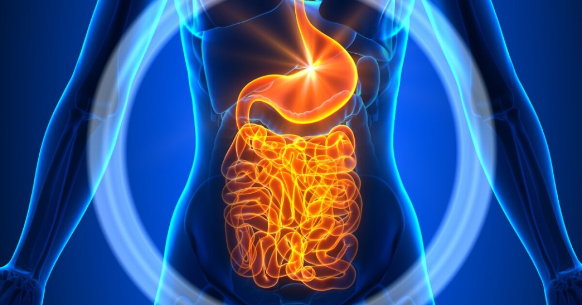 Gut Microbiome Therapy Shows Promise for Autism Symptoms in Landmark Trial