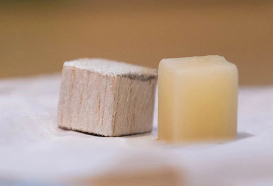 Natural wood (left) and delignified wood. The process of removing lignin makes the wood colorless