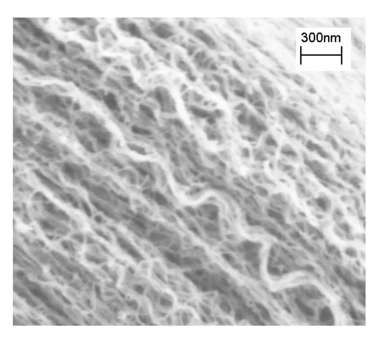 Multi-walled carbon nanotubes are tiny hollow tubes made of pure carbon about 10,000 times thinner than a strand of human hair (Photo: NASA)